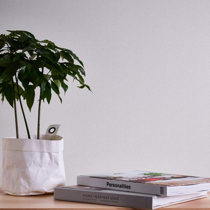 Immagine prodotto Architects Paper Pigmento ECO Bianco, verniciabile 5 (53 x 1005 cm)