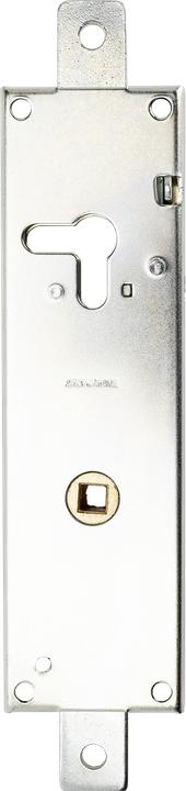 Actual product image Schänis lock (Half cylinder)