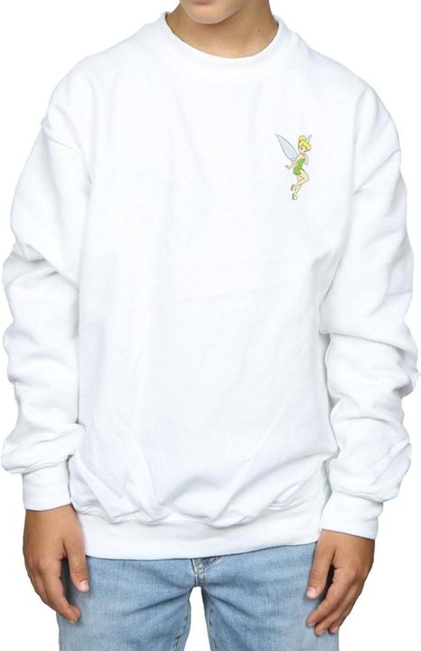 Produktbild Disney Tinkerbell Chest Sweatshirt Jungen (116)