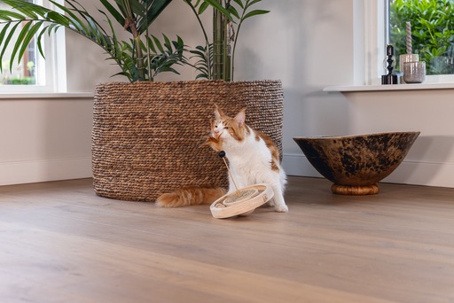 Immagine prodotto Designed by Lotte Winni (Catmint giocattolo)