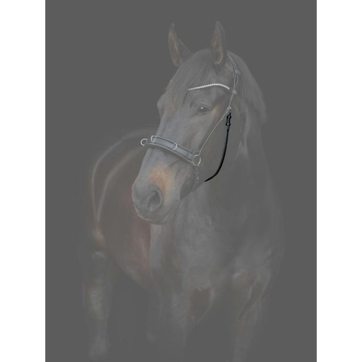 Produktbild Catago Gentle