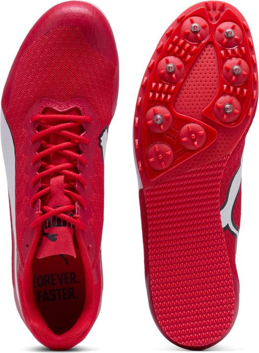 Produktbild Puma evoSPEED Star 9 (41)