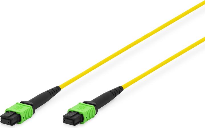 Produktbild Digitus MPO Patchkabel, OS2, Methode A (S/FTP, CAT6, 2 m)