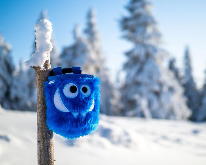 Immagine prodotto Crafty Climbing Tangerine Foodie Monster Chalkbag