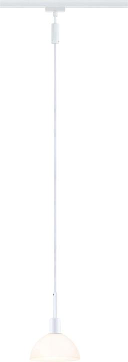 Produktbild Paulmann URail Pendel Sarrasani (E14)