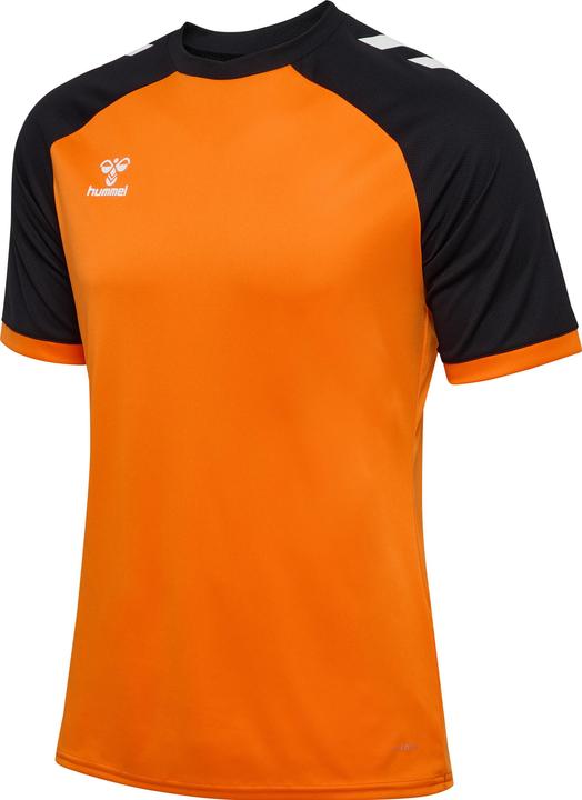 Black, Orange, orangetigerblack, Tiger