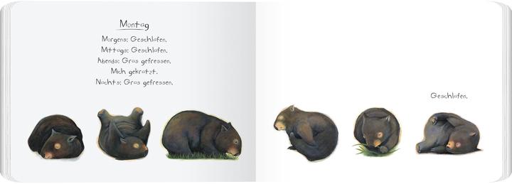 Actual product image Tagebuch eines Wombat (German, Bruce Whatley, Jackie French, 2022)