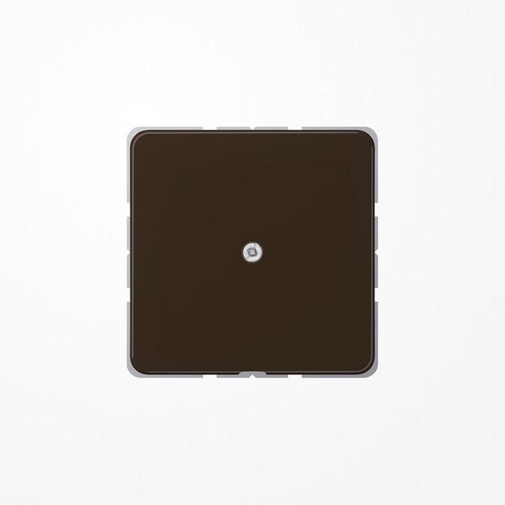 Actual product image JUNG Insert cable outlet CD br glz Schraubbef CD590ABR