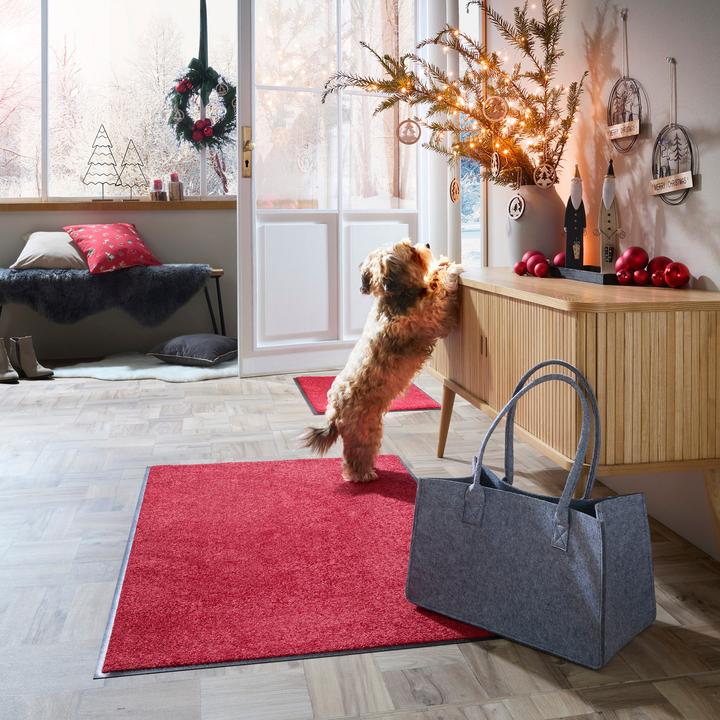 Immagine prodotto Erwin Müller Mainz (40 x 60 cm)