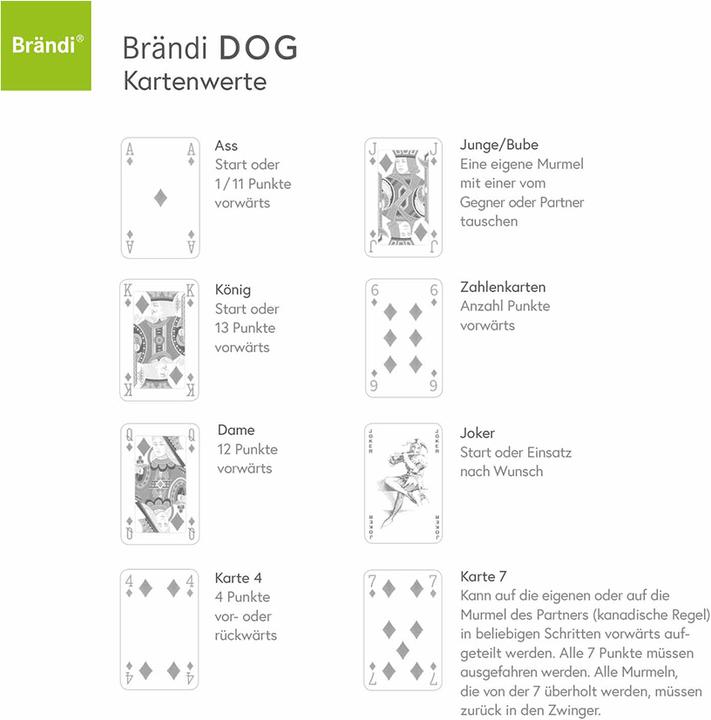 Actual product image Brändi Dog quick guide