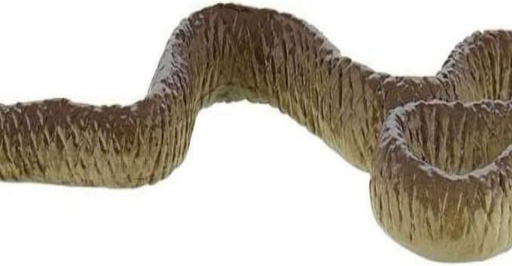 Immagine prodotto Bullyland mamba nero