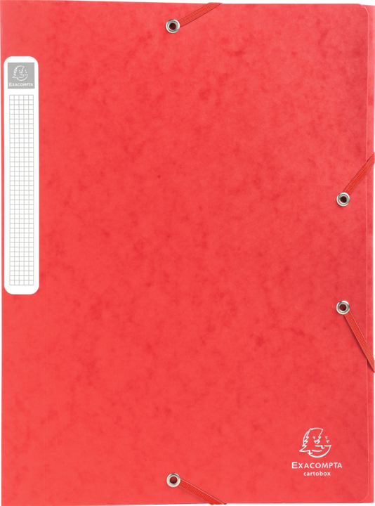 Actual product image Exacompta Archive boxes (A4)