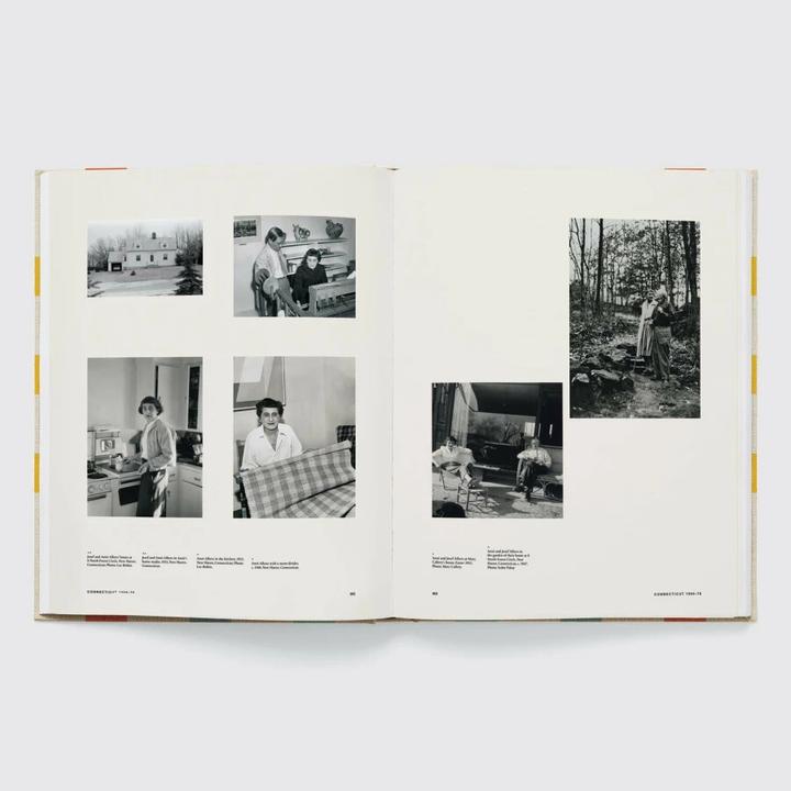 Immagine prodotto Anni & Josef Albers (Inglese, Nicholas Fox Weber, 2020)