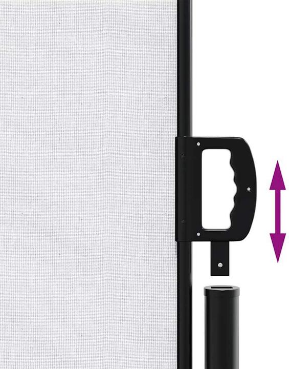 Actual product image vidaXL Extendable side awning (5 m)