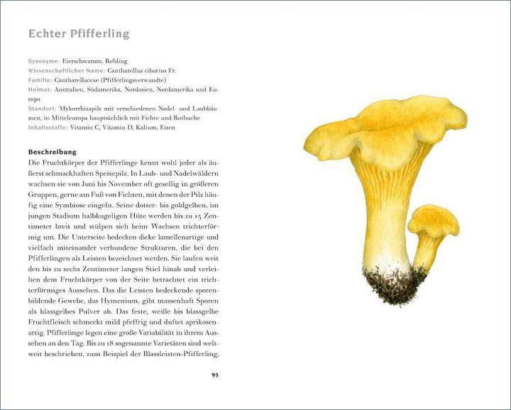 Produktbild Das kleine Pilzbuch (Deutsch, Catrin Cohnen, Diana Lawniczak, 2014)