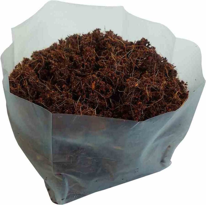 Actual product image Siena Garden Indoor greenhouse