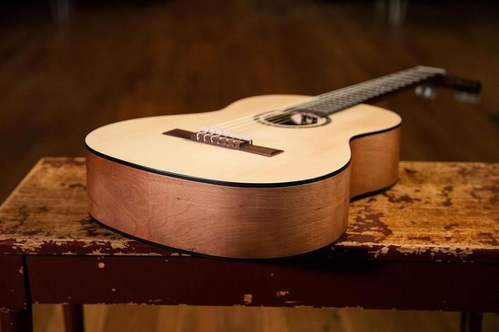 Actual product image Ortega Family Series Pro Solid Top Nylon Classical Guitar (Classical guitar, Solid ceiling)