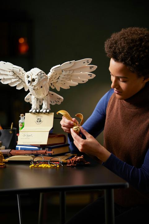 Image du produit LEGO Icônes de Poudlard - Édition Collector (76391, LEGO Harry Potter, LEGO difficiles à trouver)
