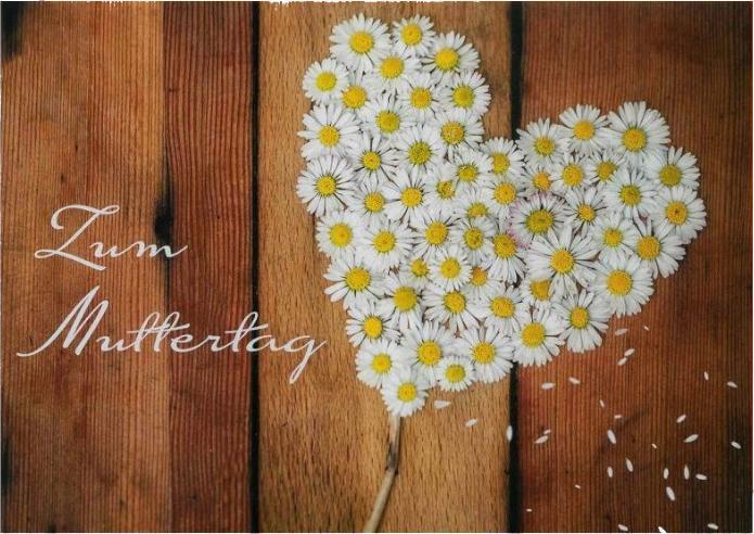 Produktbild Taurus Kunstkarten Postkarte Aquarell Fenster (1 Stk.)