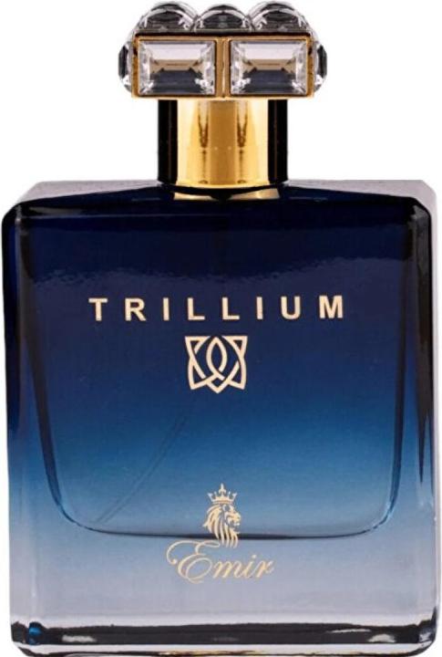 Image du produit Paris Corner Emir Trillium (Eau de parfum, 100 ml)
