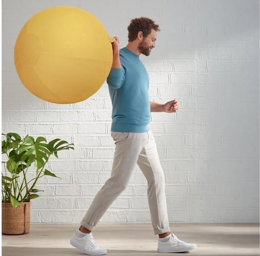 Actual product image Leitz Ergo Cosy Active sitting ball (65 cm)