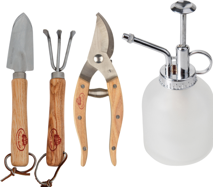 Immagine prodotto Esschert Design Set di piante di cannella 4 pezzi