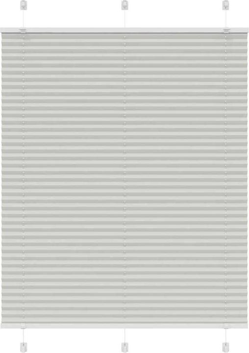 Image du produit vidaXL Plissee (110 x 150 cm)