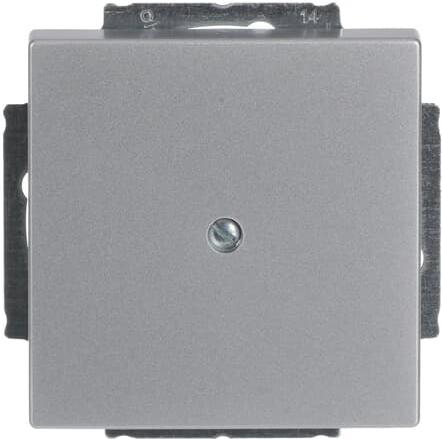 Actual product image Busch-Jaeger Central disk