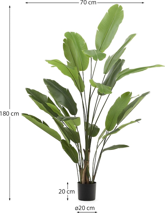 Immagine prodotto Kave Home Banano (210 cm)