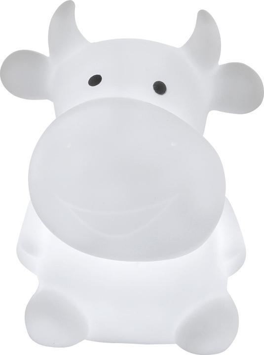 Actual product image Globo Kraka
