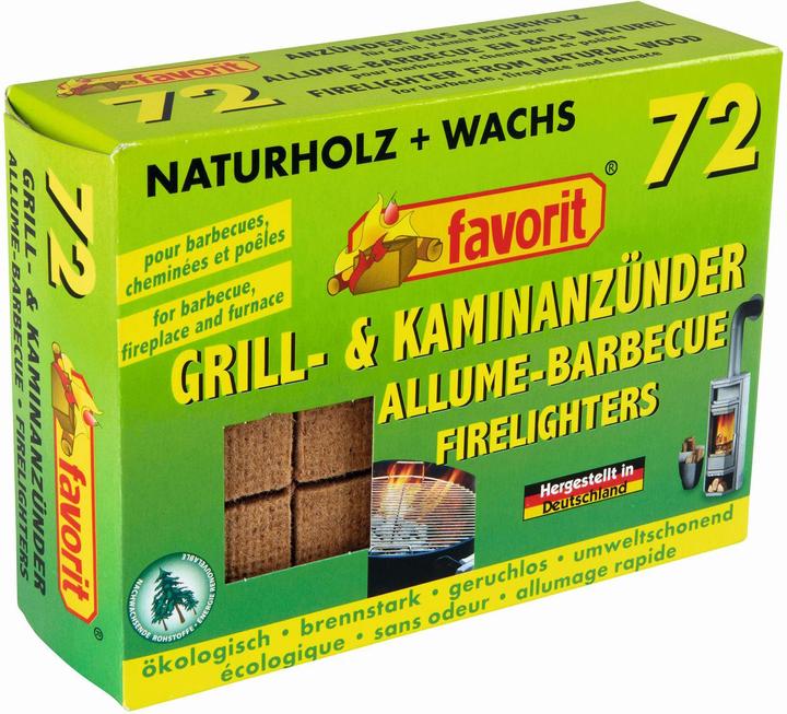 Favorit Allume-barbecue et allume-foyer 72 pièces 1828