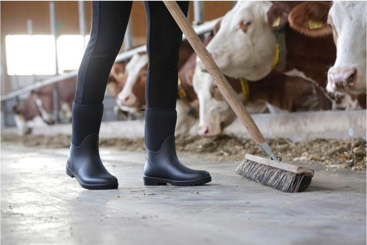 Actual product image Covalliero Boots half high NeoLite (44)