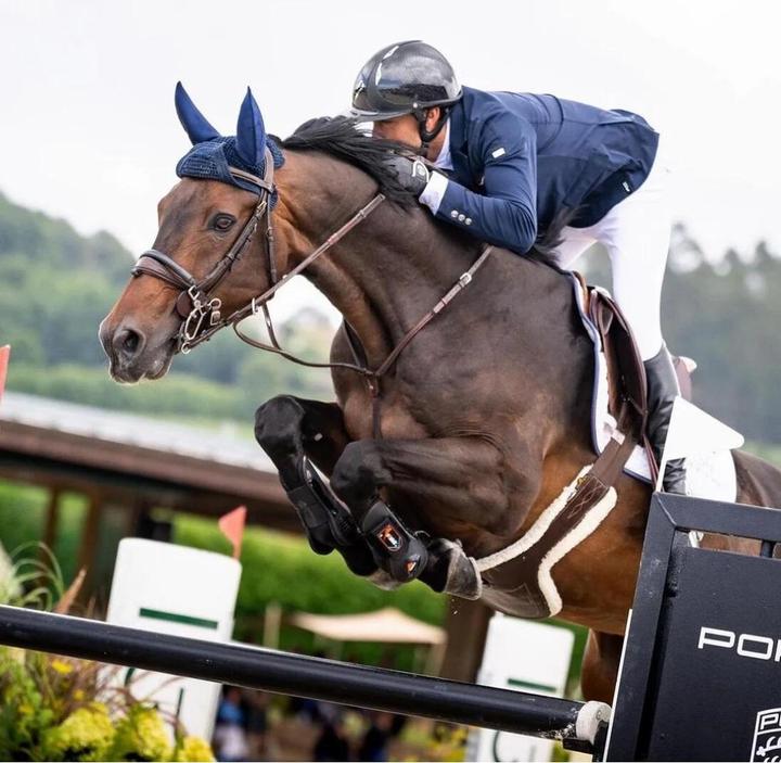 Actual product image NGB Sports riding gloves for