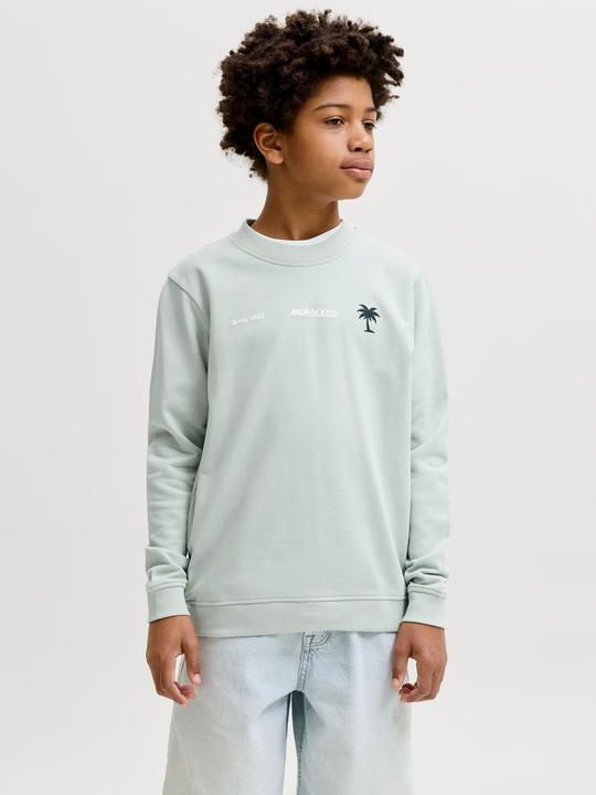 Produktbild Jack & Jones Junior Pullover CLUB SUMMER Sweatshirt (140)