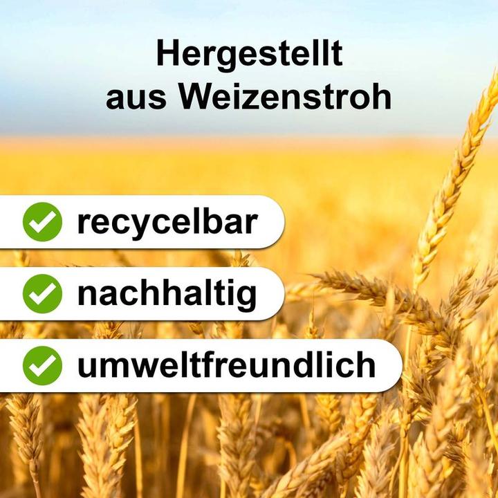Actual product image Hermex Brotdose Lunch Box Vesperdose Snackbox Jausenbox Essensbehälter