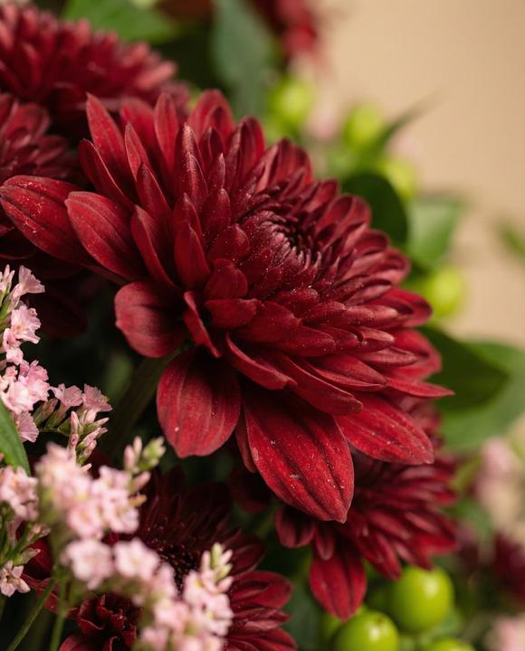 Image du produit feey Amore Deluxe (Fleurs coupées, 20x)