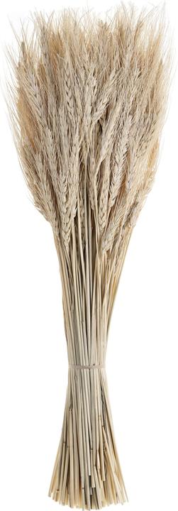 Immagine prodotto EGLO Guipos (60 cm)