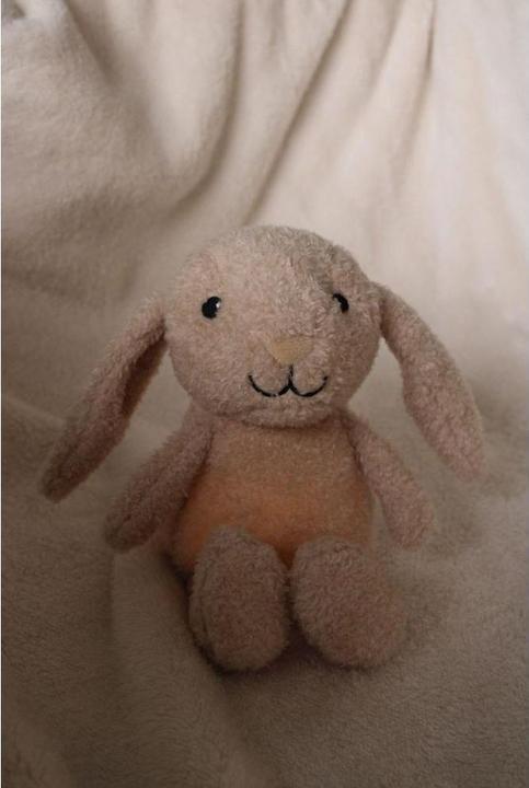 Image du produit Flow Veilleuse en peluche Milo beige