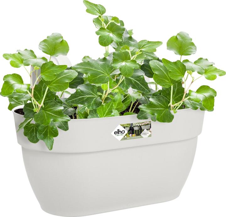 Actual product image Elho Flower Bowl (36 x 24 x 26.50 cm)