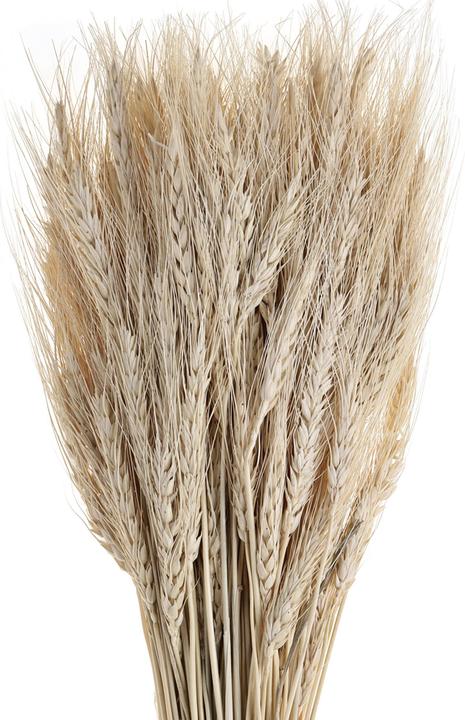 Immagine prodotto EGLO Guipos (60 cm)