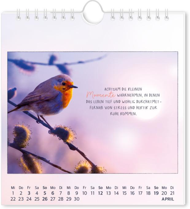 Actual product image Postkartenkalender 2026 Traumtage (16 x 17 cm)