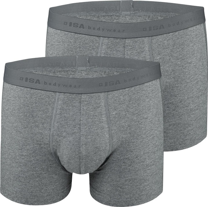 Actual product image ISA Bodywear Panty (L, pack of 2)