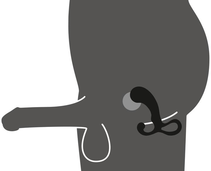 Actual product image Rebel 3-piece Prostate Plug Se