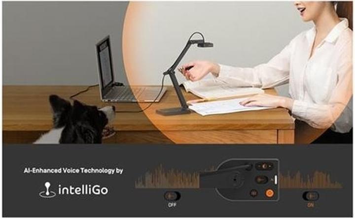 Image du produit Ipevo DOK V4K Pro 120 USB Ultra HD 8MP micro lumière grise (4K, 44 x 33 cm)