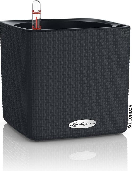 Produktbild Lechuza Cube (17 x 17 x 16 cm)