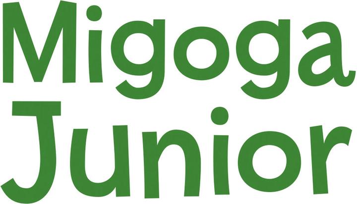Image du produit Quercetti PlayBio Junior Knikkerbaan Migoga