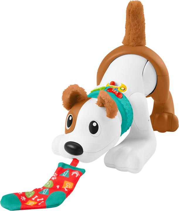 Fisher-Price 123 Crawl With Me Puppy-DU