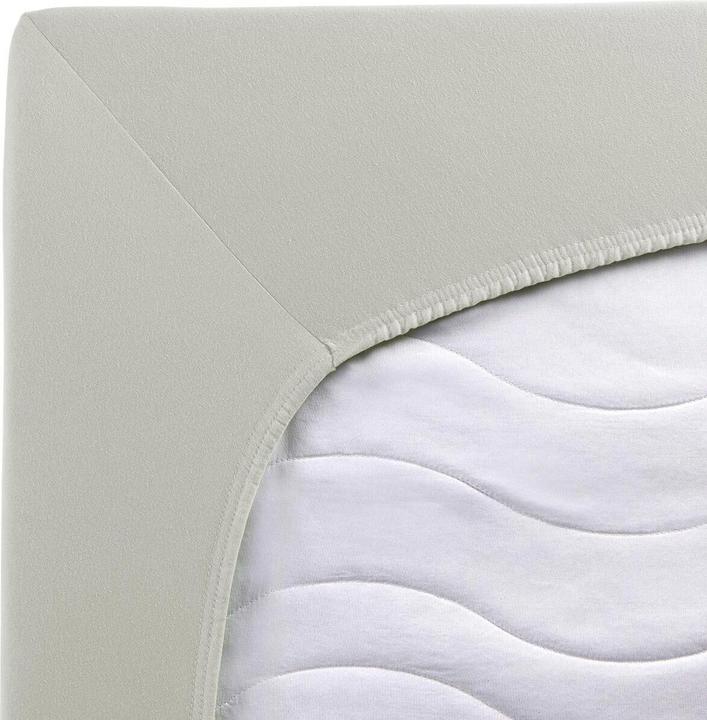 Actual product image Traumschlaf Premium Interlock (180x200 cm, 200x200 cm)