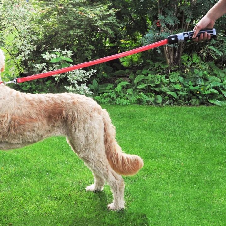 Image du produit The Monster Factory Laisse pour chien Dark Vador (Chien)