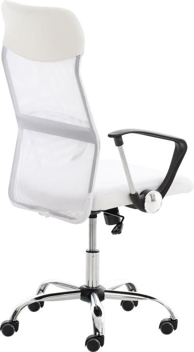 Immagine prodotto CLP Washington V2